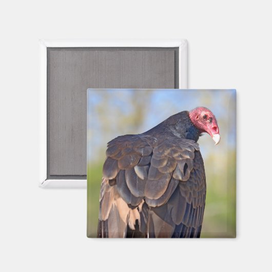 七面鳥の禿頭が幹に突き出ている マグネット (正面/裏面)