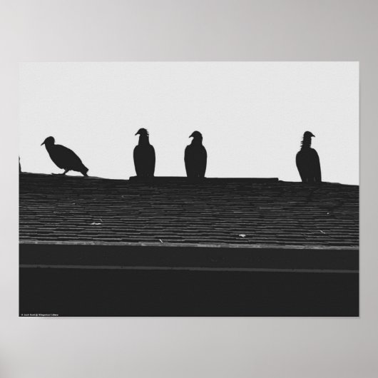 七面鳥の禿鷲 ポスター (正面)