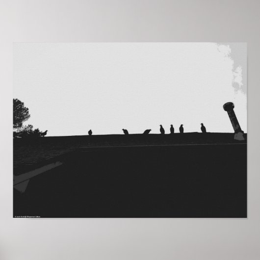 七面鳥の禿鷲 ポスター (正面)