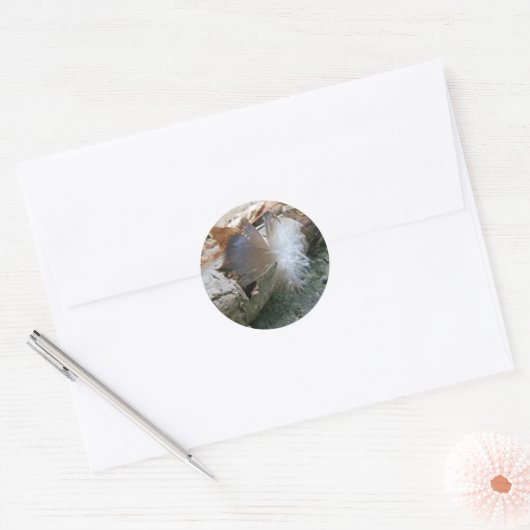 七面鳥の羽のコーディネート項目 ラウンドシール (封筒)