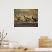 七面鳥の行進と夕暮れ ポスター (キッチン)