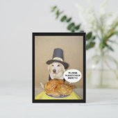 七面鳥の訴え ポストカード (スタンド正面)