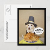 七面鳥の訴え ポストカード (正面/裏面)