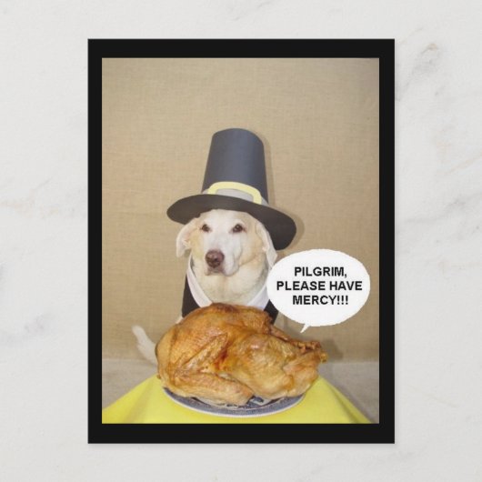 七面鳥の訴え ポストカード (正面)