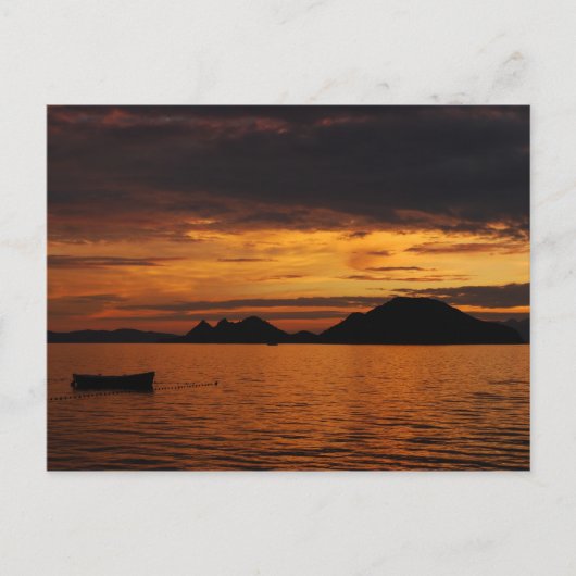 七面鳥はがき ポストカード (正面)