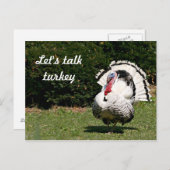 七面鳥を言おう ポストカード (正面/裏面)