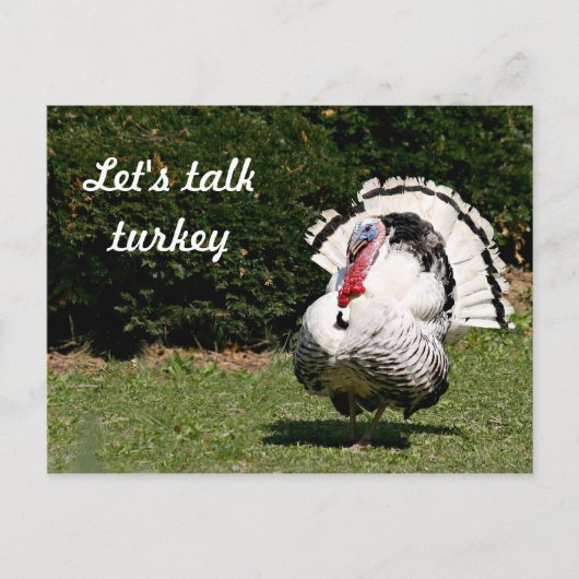 七面鳥を言おう ポストカード (正面)
