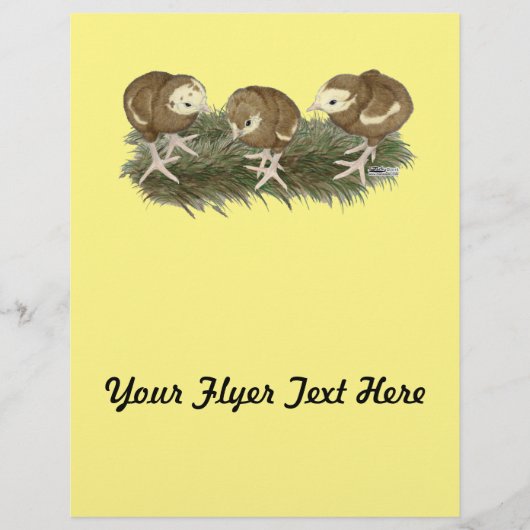 七面鳥チョコレートパップ チラシ (正面)