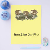 七面鳥チョコレートパップ チラシ (シングル)