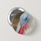 七面鳥ボタン 缶バッジ (正面&裏面)