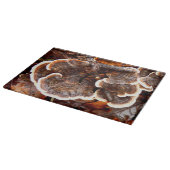 七面鳥類真菌ガラス切り盤 カッティングボード (角)