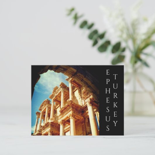 七面鳥類 ポストカード (スタンド正面)