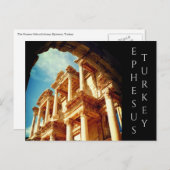 七面鳥類 ポストカード (正面/裏面)