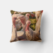 七面鳥 クッション (裏面)