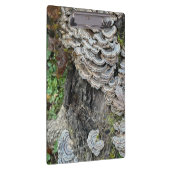 七面鳥 クリップボード (右)