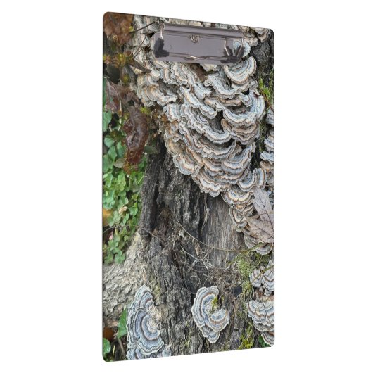 七面鳥 クリップボード (右)