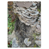 七面鳥 クリップボード (正面)