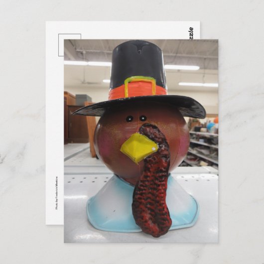 七面鳥 ポストカード (正面/裏面)