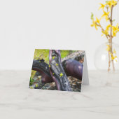 万山北グリーティングカード カード (黄色い花)