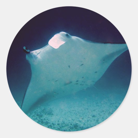 万田 ラウンドシール (正面)