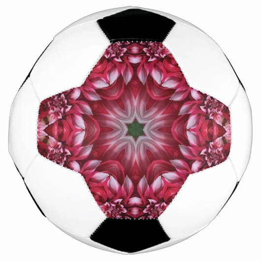 万華鏡のような深紅のダリア サッカーボール (正面)
