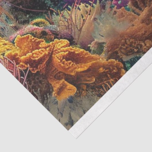 万華鏡のように千変万化するパターンの色ゼリー魚の切り離し 薄葉紙 (詳細)