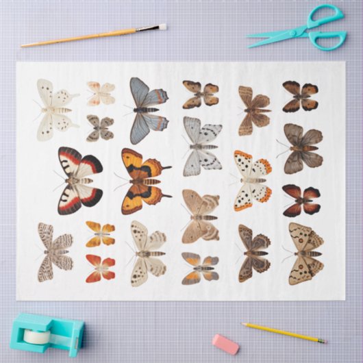 万華鏡のように千変万化するパターンのMoths 1デコページ紙 薄葉紙 (クラフト)