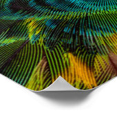 万華鏡のように千変万化するパターン羽毛デザイン ポスター (角)