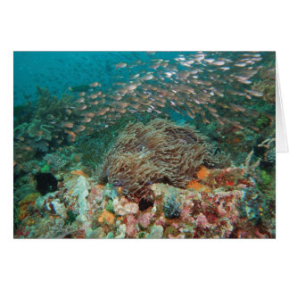 万華鏡のように千変万化するパターン