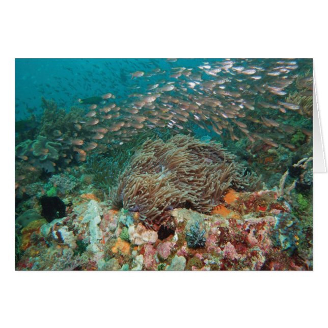 万華鏡のように千変万化するパターン (正面横)