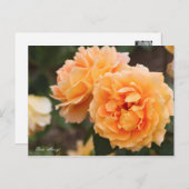 万葉 ポストカード (正面/裏面)