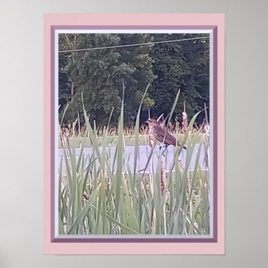 丈の高い草むらの中の鳥 ポスター (正面)