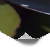 丈夫なウォーターリリーのポスター ポスター (角)