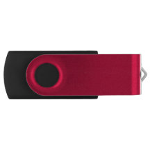 丈夫なリッチソリッド ゴジーベリー USB フラッシュドライブ