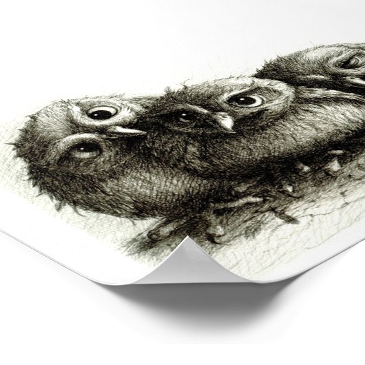 三おもしろいつの若いフクロウの手素晴らし引き ポスター (角)