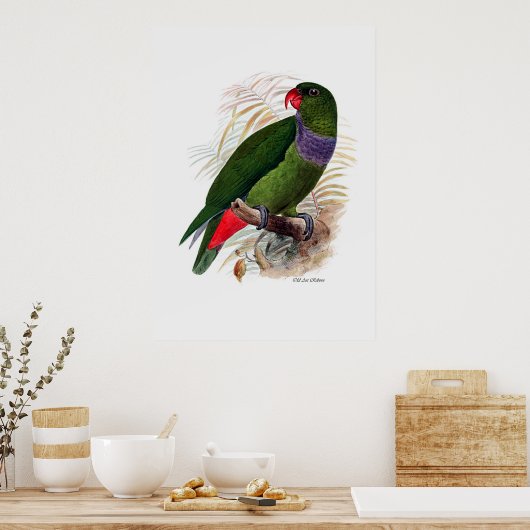 三つのうち三つのオウム ポスター (キッチン)