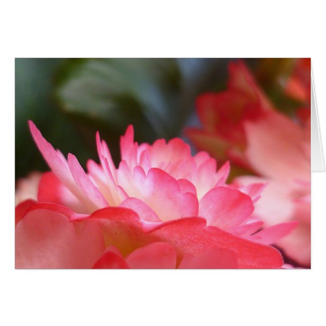 三つのことだけ (正面横)