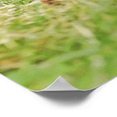 三つのアミゴス ポスター (角)