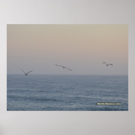 三つのカモメ ポスター (正面)
