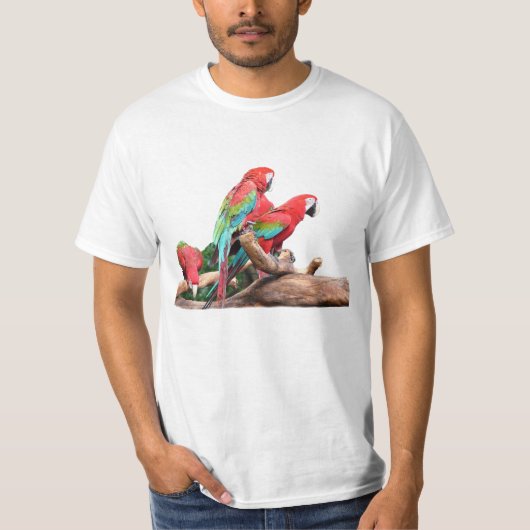 三つのカラフル Tシャツ (正面)