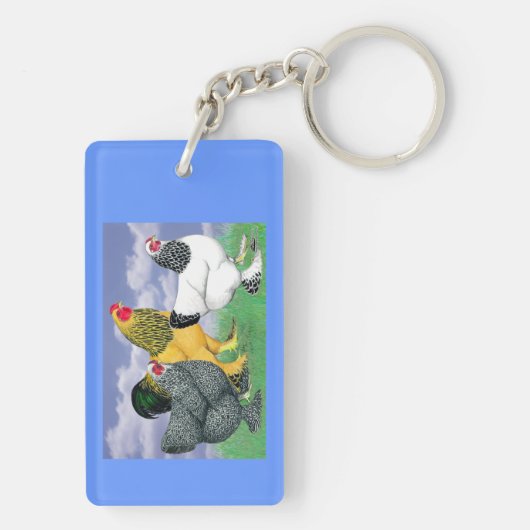 三つのブラーマ キーホルダー (裏面)