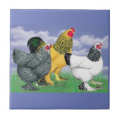 三つのブラーマ タイル (正面)