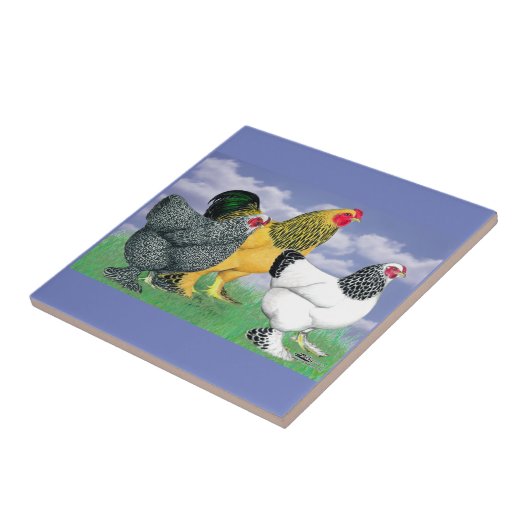 三つのブラーマ タイル (側面)