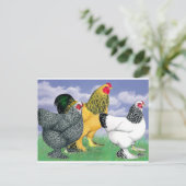 三つのブラーマ ポストカード (スタンド正面)