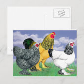 三つのブラーマ ポストカード (正面/裏面)