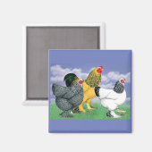 三つのブラーマ マグネット (正面/裏面)