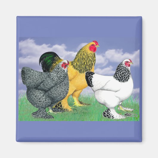 三つのブラーマ マグネット (正面)