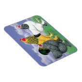 三つのブラーマ マグネット (右側)