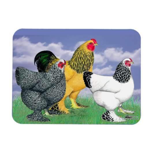 三つのブラーマ マグネット (横)