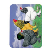 三つのブラーマ マグネット (縦)